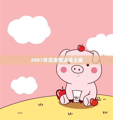 2007年是什么猪|2007年属猪的是什么命 2007年属猪的是什么命运